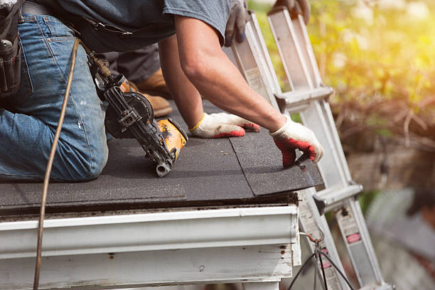 Best Roof Gutter Cleaning  in Walton Park, NY